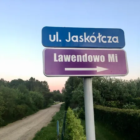 Lawendowo Mi
