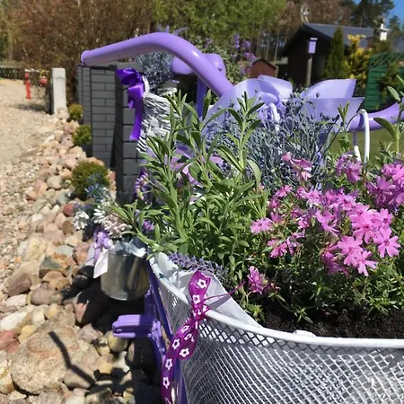 Lawendowo Mi 公寓 科帕利诺