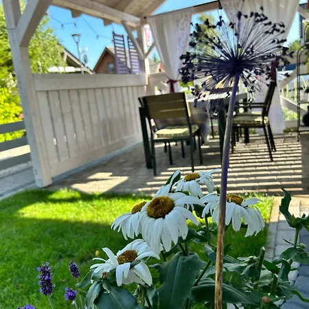 Lawendowo Mi Daire Kopalino