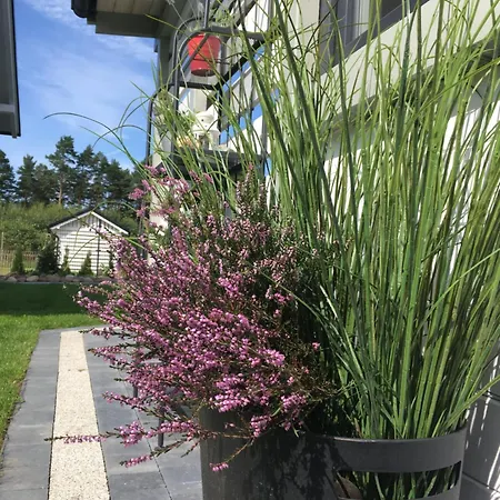 Lawendowo Mi * Kopalino