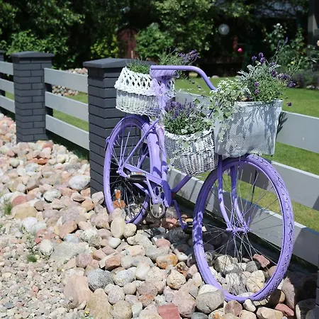 Daire Lawendowo Mi *