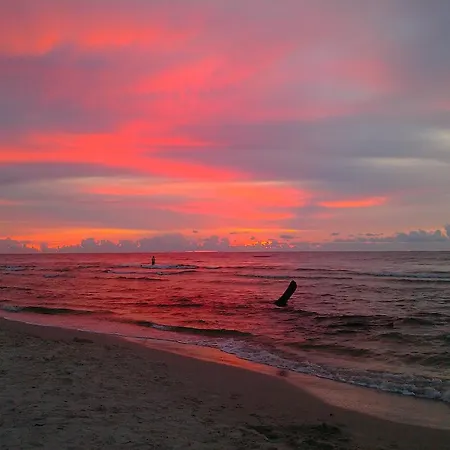 公寓 Lawendowo Mi *