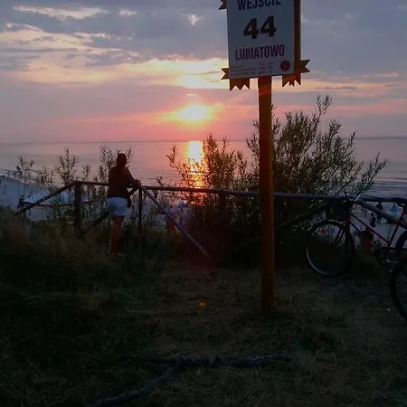 Lawendowo Mi Daire *