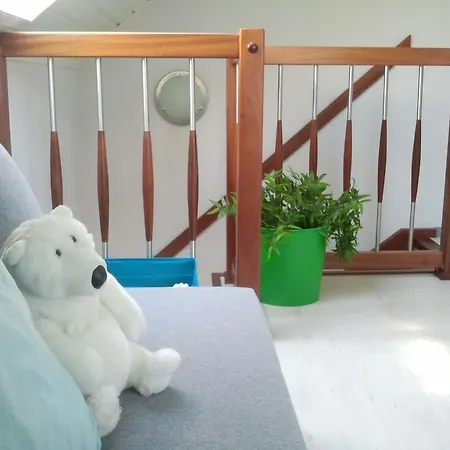 Lawendowo Mi 科帕利诺