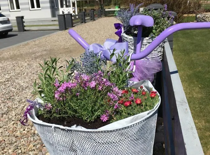 Lawendowo Mi شقة *