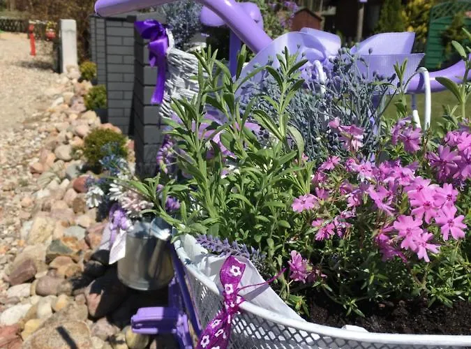 Lawendowo Mi شقة كوبالينو