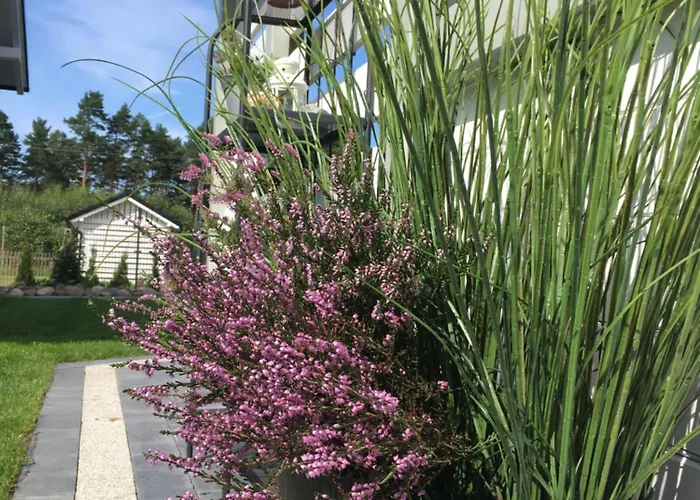 Lawendowo Mi * كوبالينو